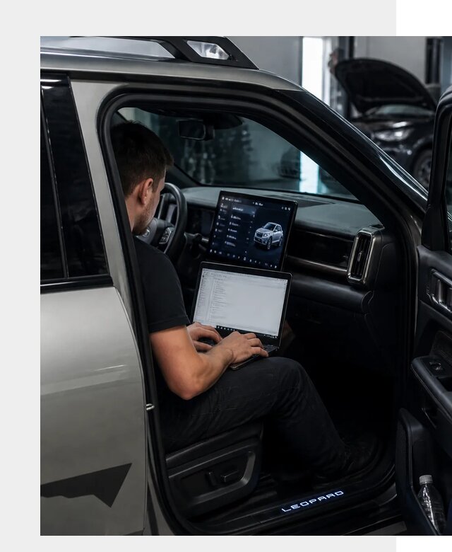 Русификация BYD Leopard 3 в Ржеве по цене от 20455 р. | ФастМобиль-Ржв